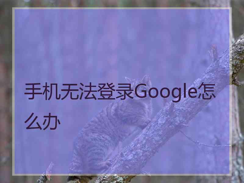 手机无法登录Google怎么办