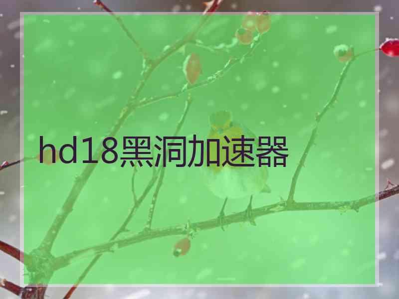 hd18黑洞加速器