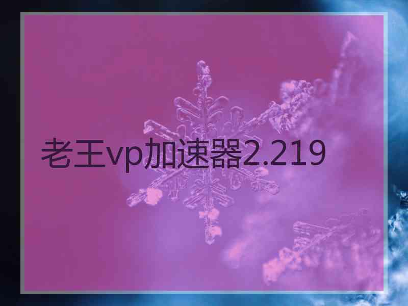 老王vp加速器2.219