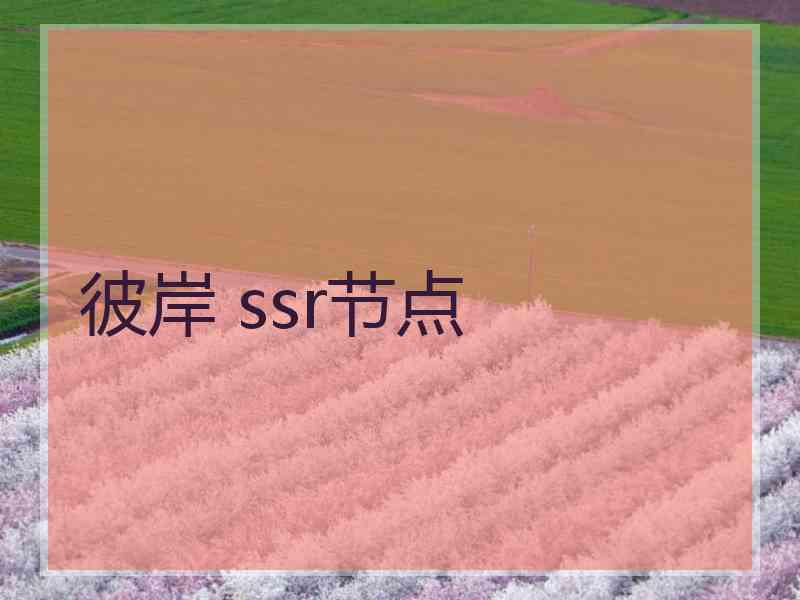 彼岸 ssr节点