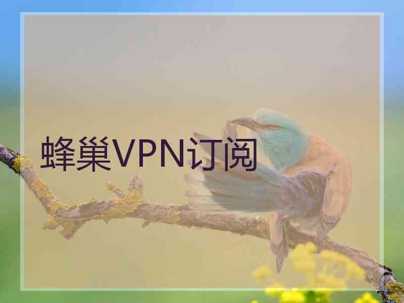 蜂巢VPN订阅