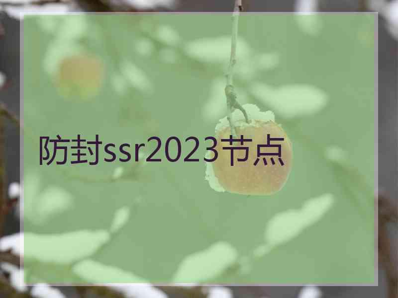 防封ssr2023节点