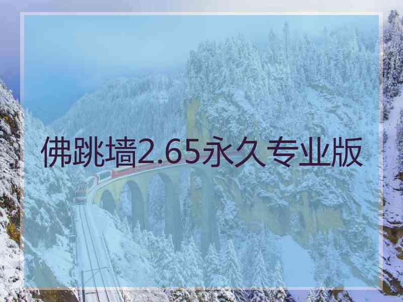 佛跳墙2.65永久专业版