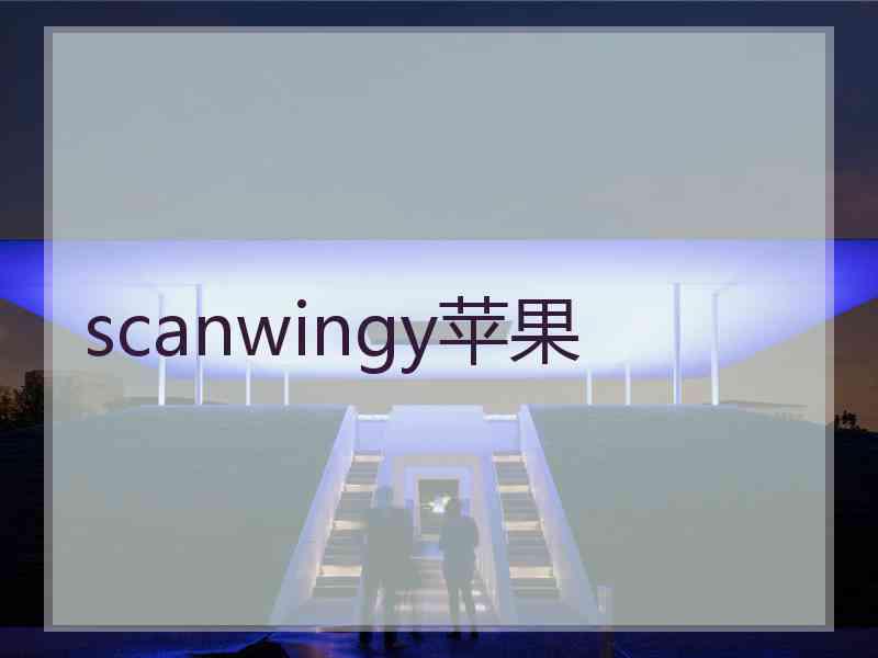 scanwingy苹果