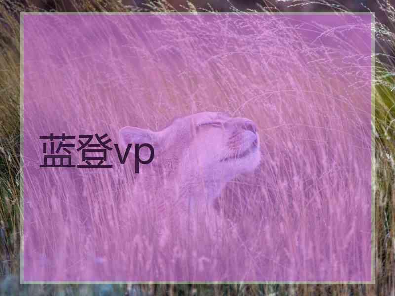 蓝登vp