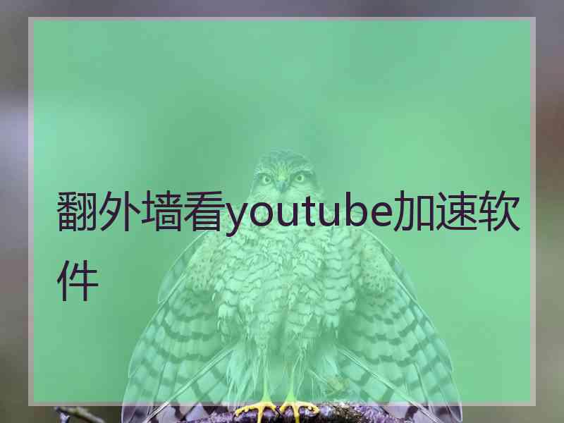 翻外墙看youtube加速软件