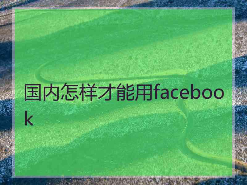 国内怎样才能用facebook