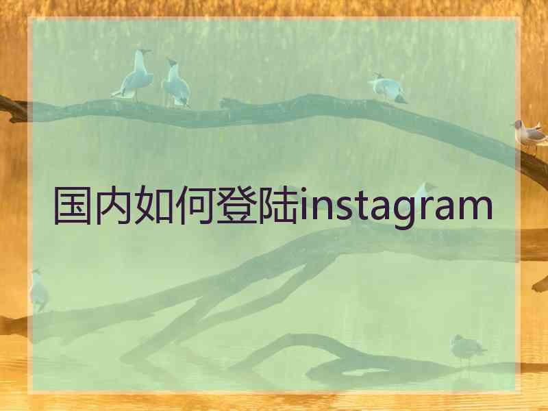 国内如何登陆instagram