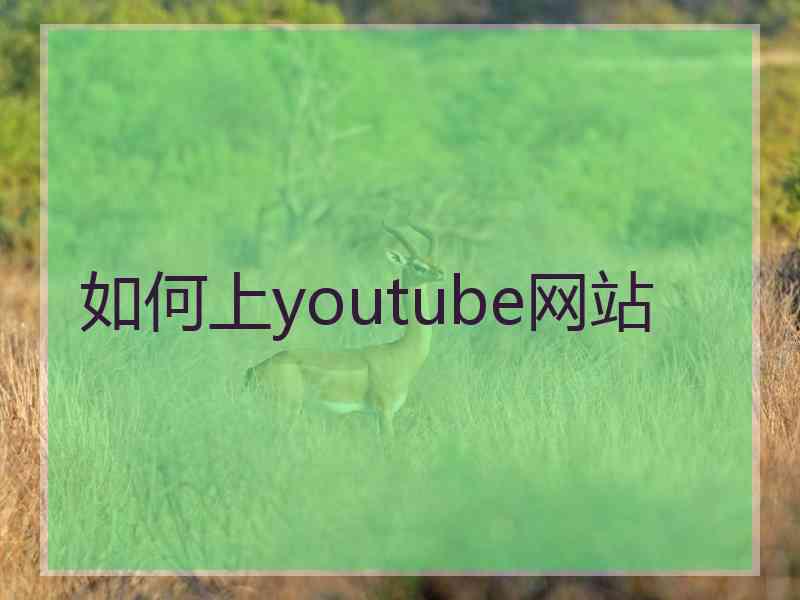 如何上youtube网站