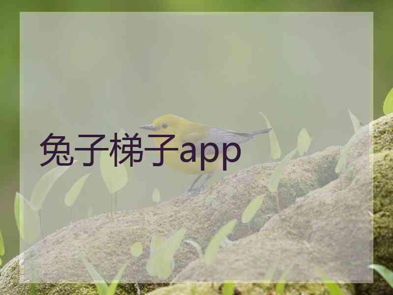 兔子梯子app