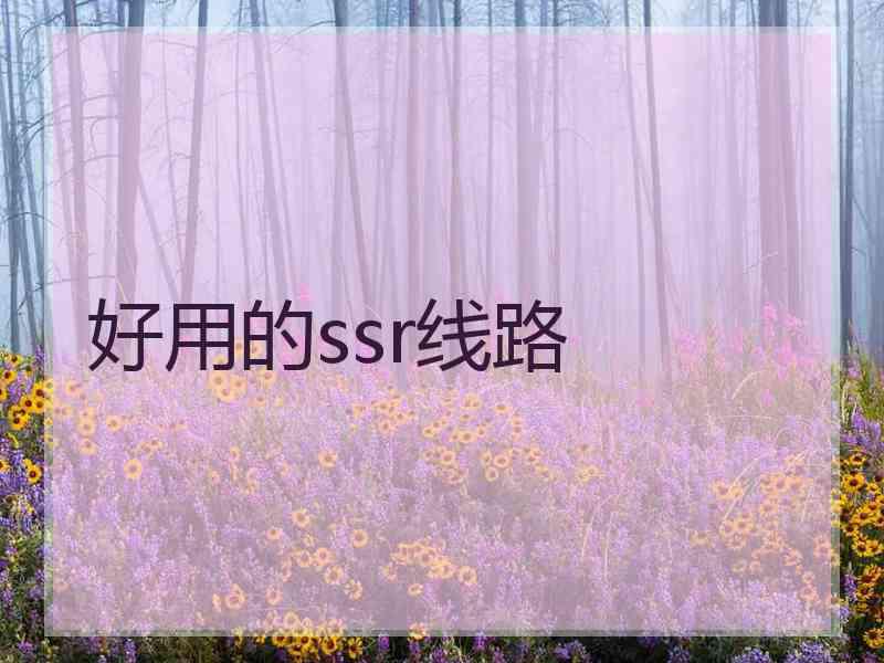 好用的ssr线路