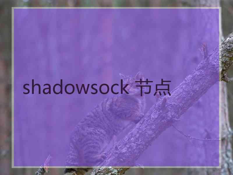 shadowsock 节点