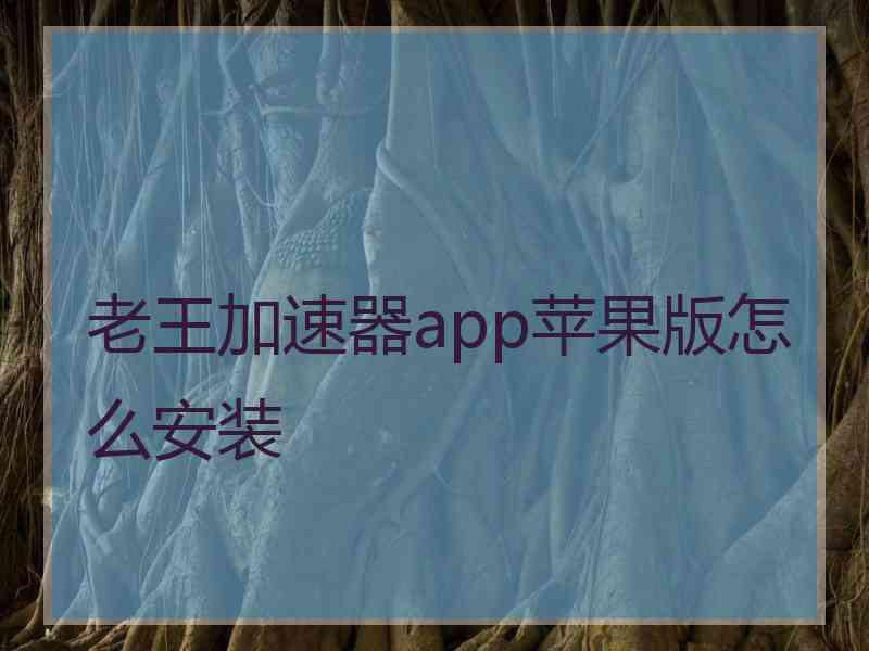 老王加速器app苹果版怎么安装