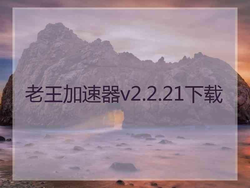 老王加速器v2.2.21下载