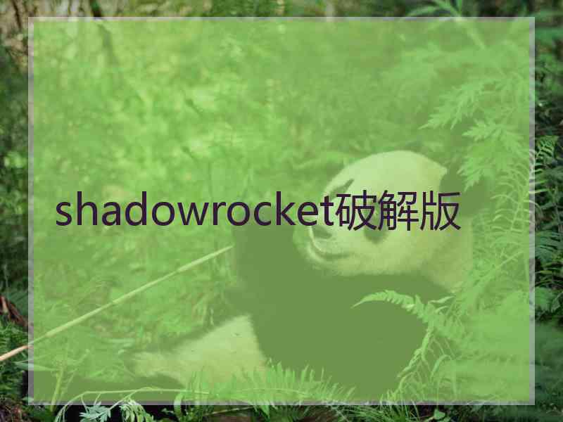 shadowrocket破解版