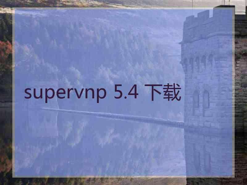 supervnp 5.4 下载