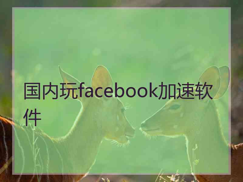 国内玩facebook加速软件