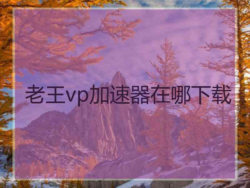 老王vp加速器在哪下载