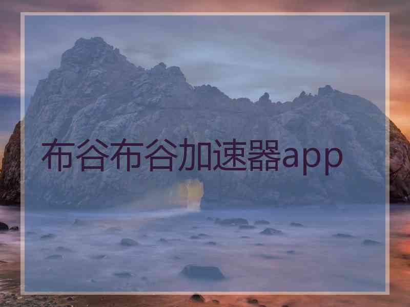 布谷布谷加速器app