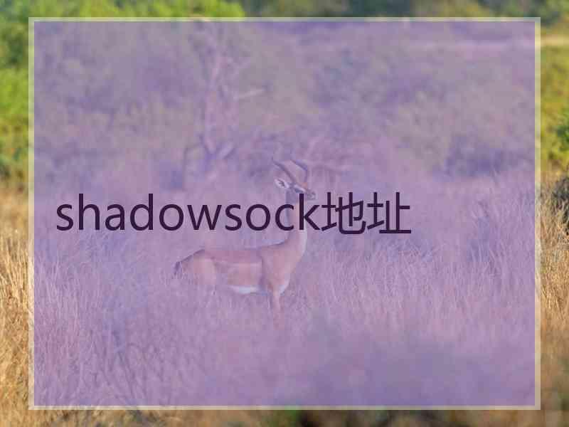 shadowsock地址