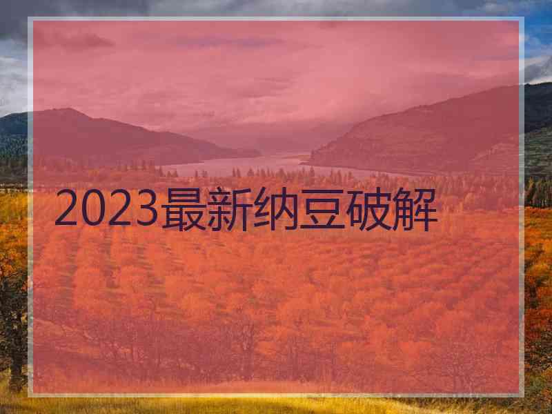 2023最新纳豆破解