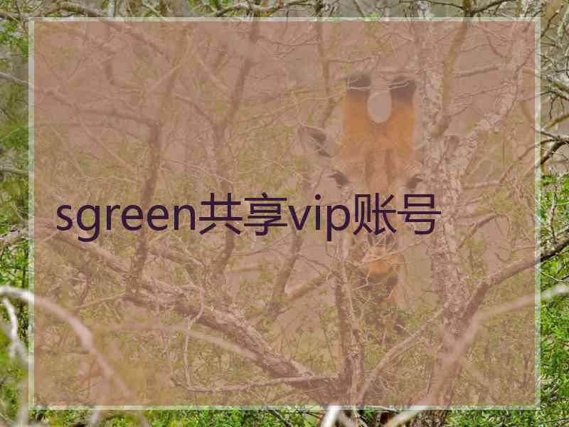 sgreen共享vip账号