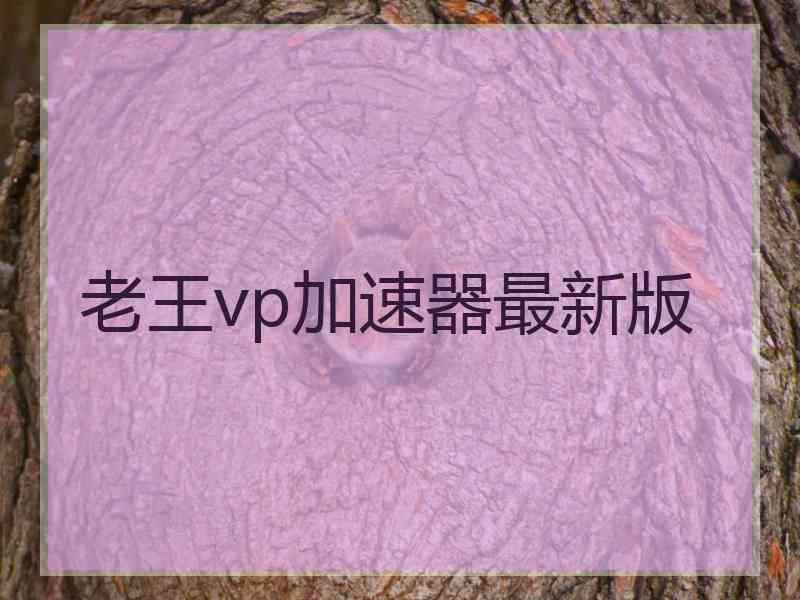 老王vp加速器最新版